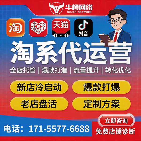 遂宁电商代运营