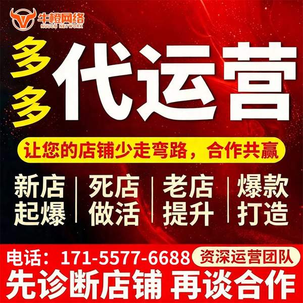 遂宁电商代运营
