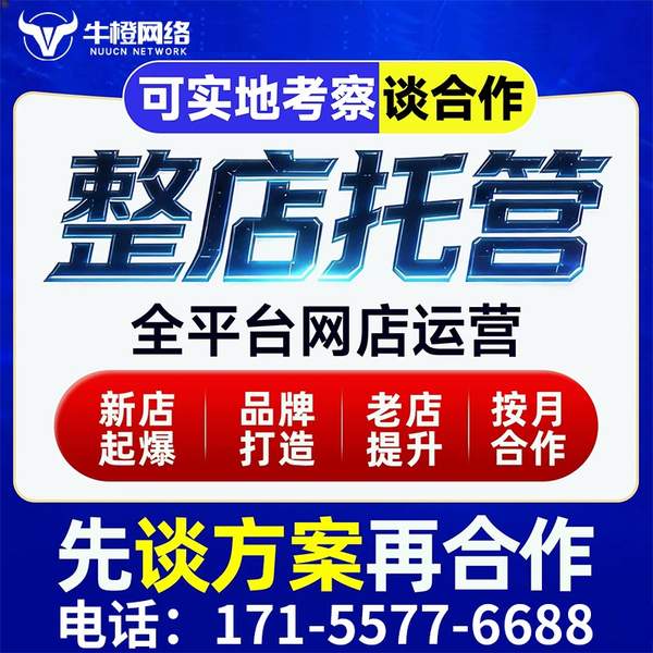 遂宁电商代运营