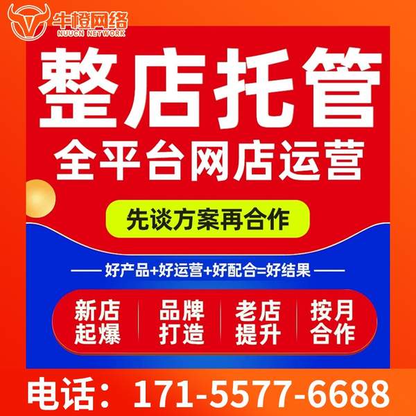 遂宁电商代运营