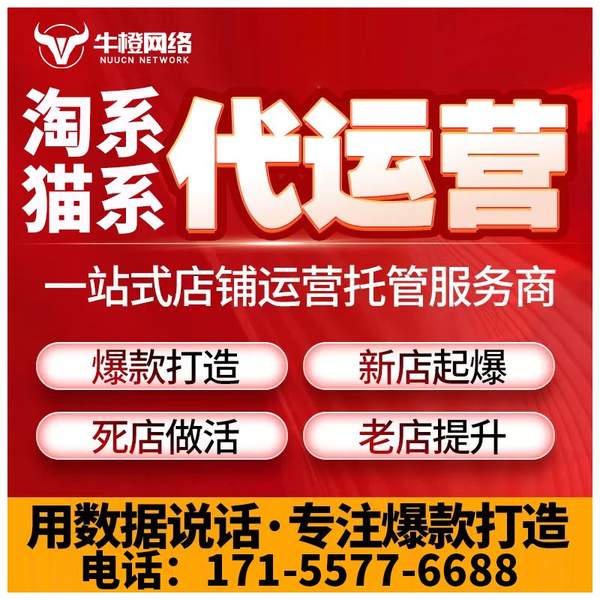 遂宁电商代运营